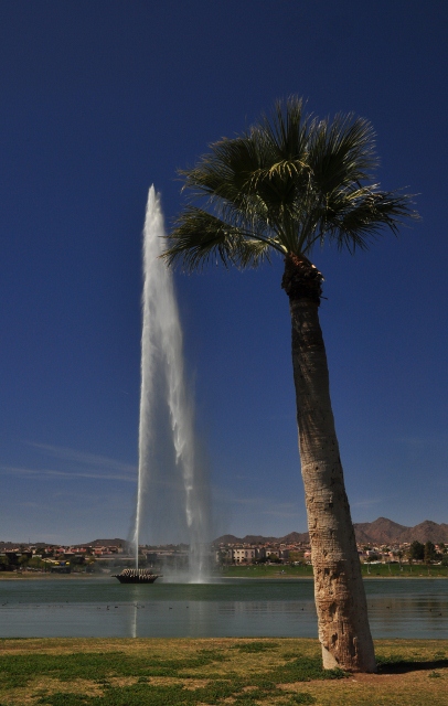 the fountain